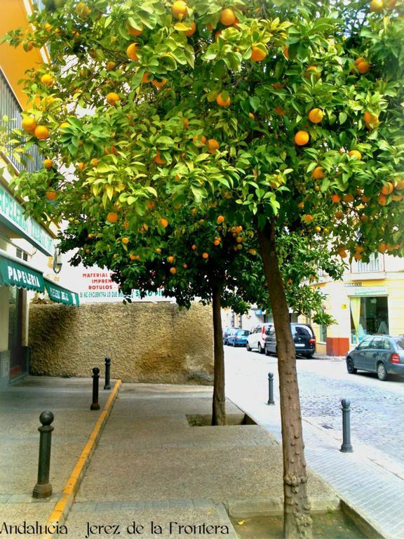 Hotel Al Andalus Jerez à Jerez de la Frontera Extérieur photo