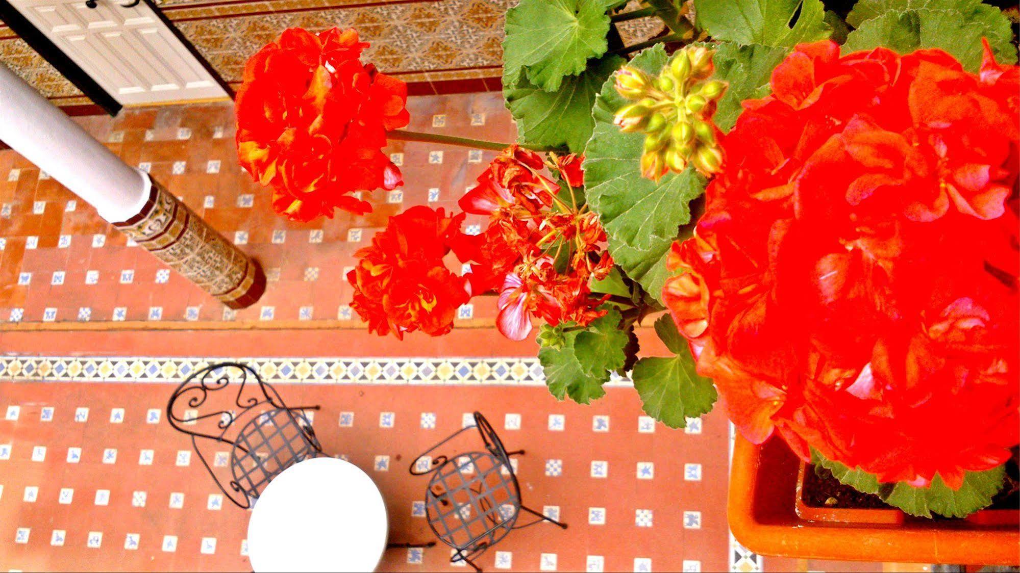 Hotel Al Andalus Jerez à Jerez de la Frontera Extérieur photo